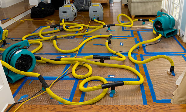 Professional Water Damage Repair technician working in Tremont, IL